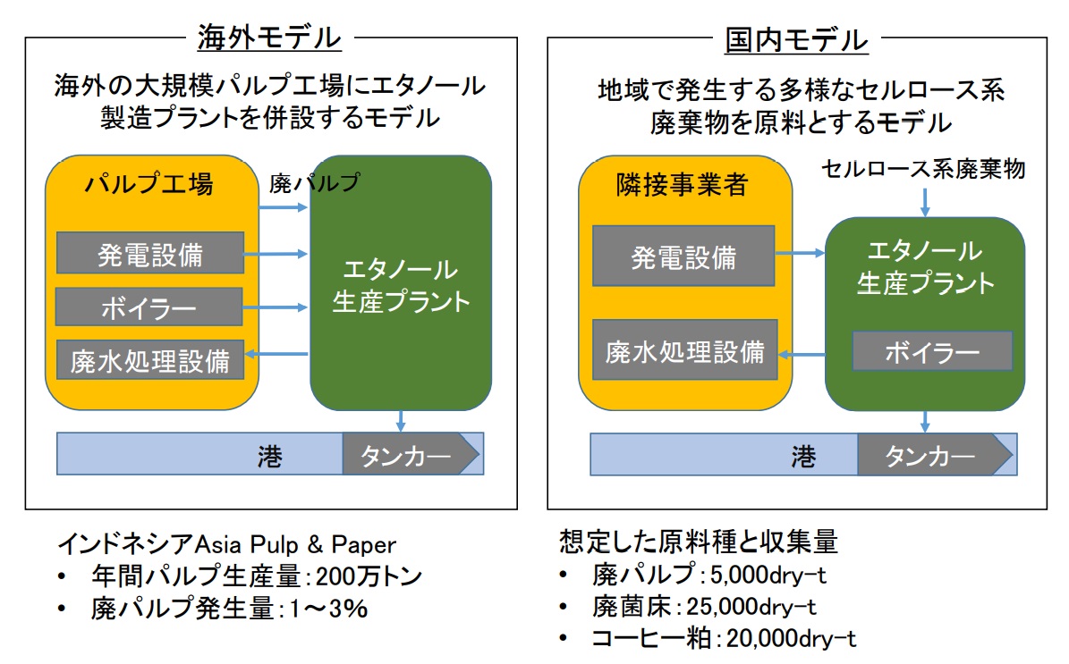 海外の大規模パルプ工場にエタノール製造プラントを併設するモデルと地域で発生する多様なセルロース系廃棄物を原料とする国内モデル（2018事業性評価）